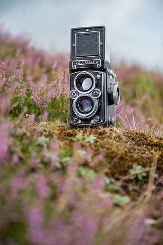 Rolleiflex in het wild
