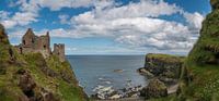 Dunluce kasteel in Noord Ierland van Elly van Veen thumbnail