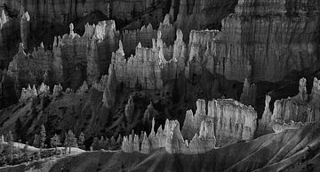 BRYCE 1 von Henk Leijen