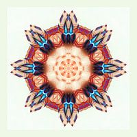 I am... Indiana Tribe