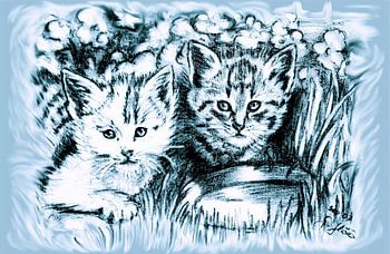 Blue Baby Cats