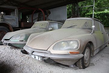 Citroen DS van Angelique van 't Riet