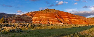 Painted Hills Sunset Panorama, United States 5x2