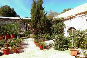 Tuin van het griekse klooster van Agios Nikolaos Iras
