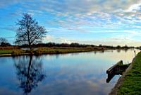 Stillness in the Black Waterland