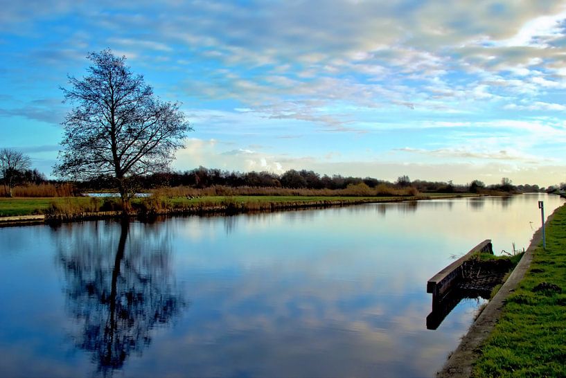 Stillness in the Black Waterland by George van der Vliet
