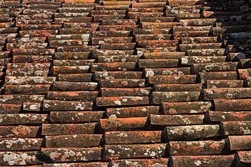 Vieilles tuiles sur une maison au Portugal sur WeltReisender Magazin