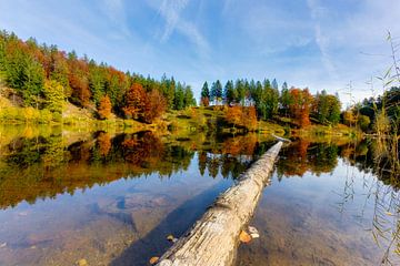 Herfstkleuren aan een meer in het Zwarte Woud van Hans-Bernd Lichtblau