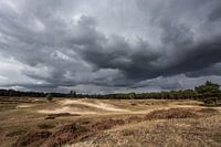 Dreigende wolkeluchten boven landgoed Heidestein