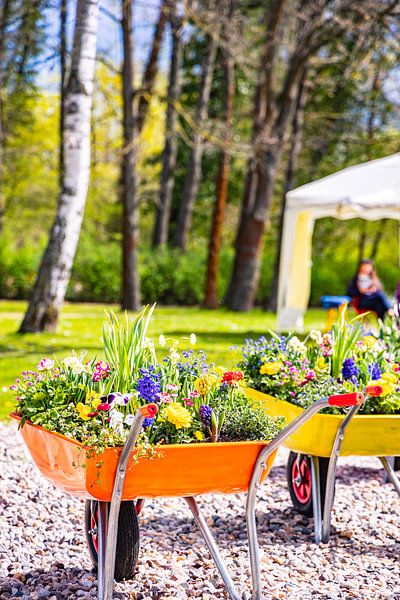 Rathenow &quot;City of Optics by David Krause