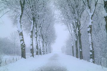 Het sneeuw pad naar winter wonderland van Double u photography