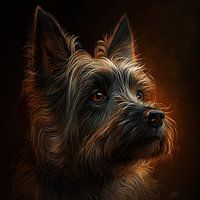 Hondenrassen - Terrier