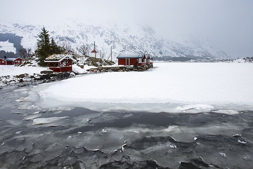 Cottages sur les Lofoten par Antwan Janssen