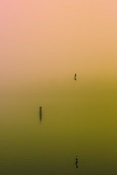 Dichte mist over de Rijkerswoerdse Plassen.  van Robert Wiggers