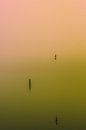 Dichte mist over de Rijkerswoerdse Plassen.  van Robert Wiggers thumbnail