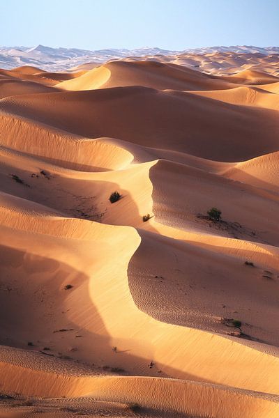Rub Al Khali Empty Quarter Wüste Oman von Jean Claude Castor