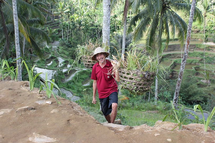 Indonesië: Javaanse arbeider van Raoul van de Weg