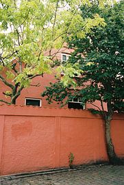 Denmark by Mandy Markman