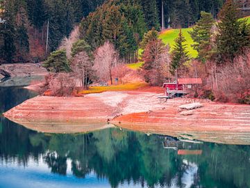 Herfstkleuren in de Allgäu van Mustafa Kurnaz