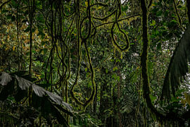 Costa Rica – wo Natur, Abenteuer und pure Schönheit aufeinander treffen