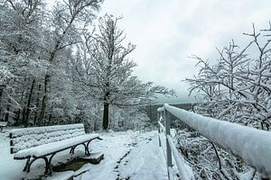 Winter Landschaften