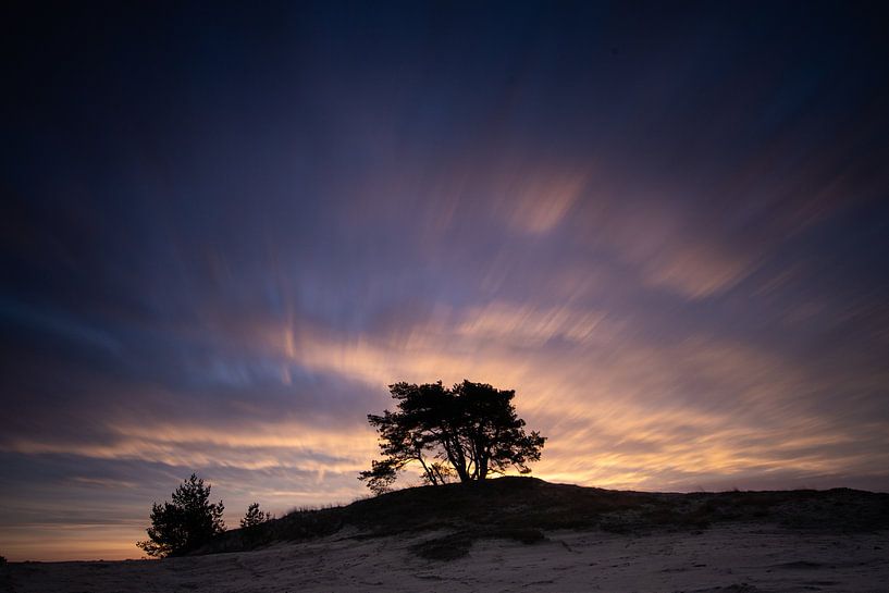 Zonsopkomst Kootwijkerzand van Peter Haastrecht, van
