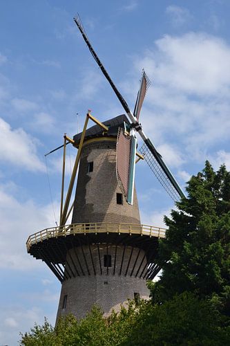 Molen Aeolus in Vlaardingen