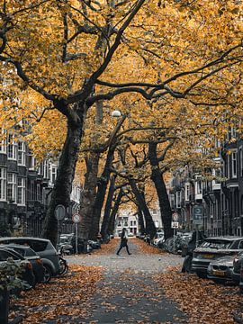 Lomanstraat im Herbst - Moody #1 von Roger Janssen