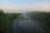 Polderlandschap