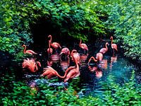 Flamingo's in een rustige lagune
