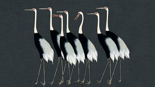 Japanse kraanvogels op donkergrijze textuur