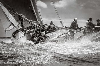 Segeln Skûtsje Leeuwarden