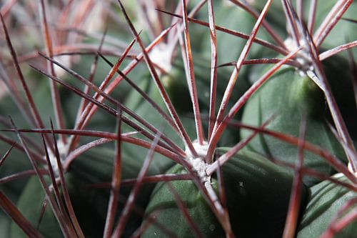 Senken Sie Ihren Schild nicht