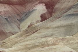 Beschilderde heuvels in het John Day Fossil Beds National Monument bij Mitchell City, Wheeler County van Frank Fichtmüller