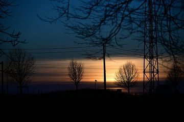 Blue Twilight over the Fields