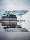 Reflections at the Antwerp Port House by Felix Van Lantschoot thumbnail