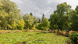 Queenstown, Neuseeland – Queenstown Gardens von Richard Wareham