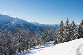 Sneeuwlandschap by Marjolijn Barten