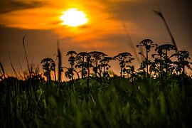 Zonsondergang van Shoot2Capture2