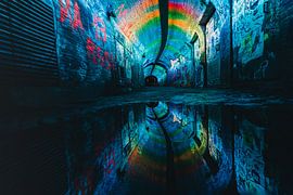 Ganzenmarkt Utrecht van Sander Peters