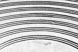 Gladitaor-Steps von Sjouke op de Weegh