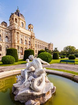 Natural History Museum in Vienna by Werner Dieterich