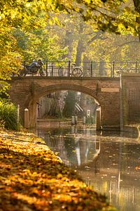 De Quintynsbrug in Utrecht in de herfst.