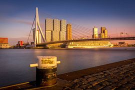 Erasmusbrug Sunset by Dennis Donders