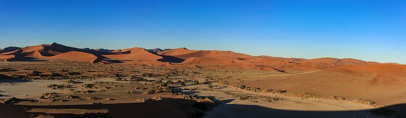Die Dünen des Sossusvlei in Namibia von Roland Brack
