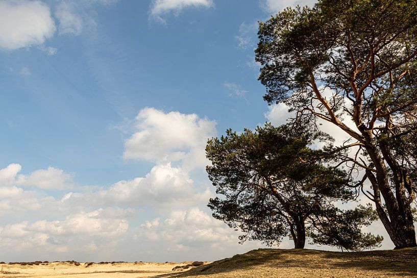 Le paysage néerlandais par Anjo ten Kate