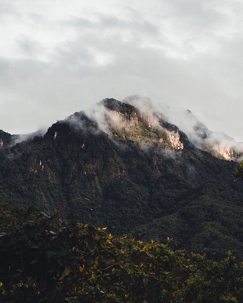 Bergtop in de wolken, Colombia van Felix Van Leusden