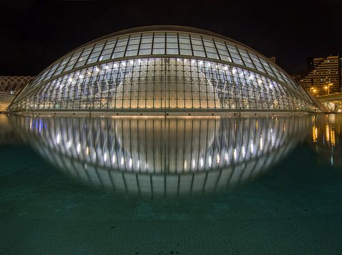 City of Arts and Sciences (Valencia) 