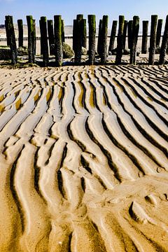 golvend zand by jan van de ven