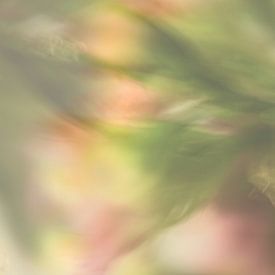 Abstract bloemen van Art. by Janine